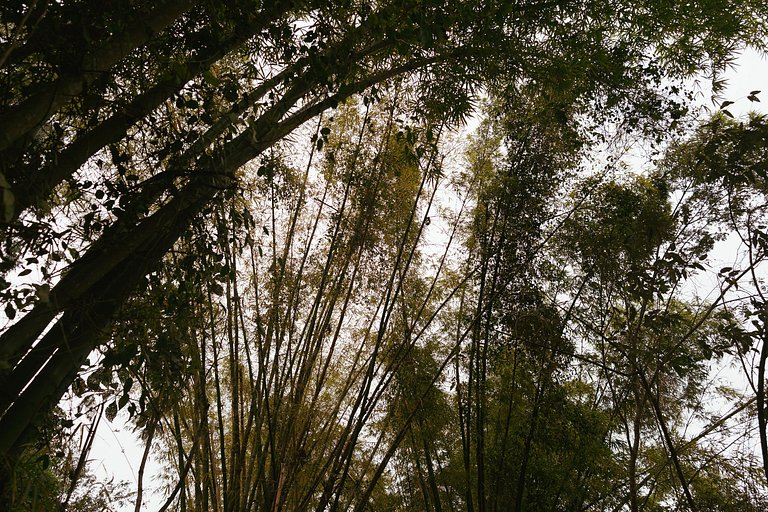 Chalé Aconchegante com Jacuzzi em Domingos Martins